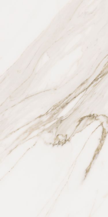 Omnia Calacatta Levigato 12 x 24